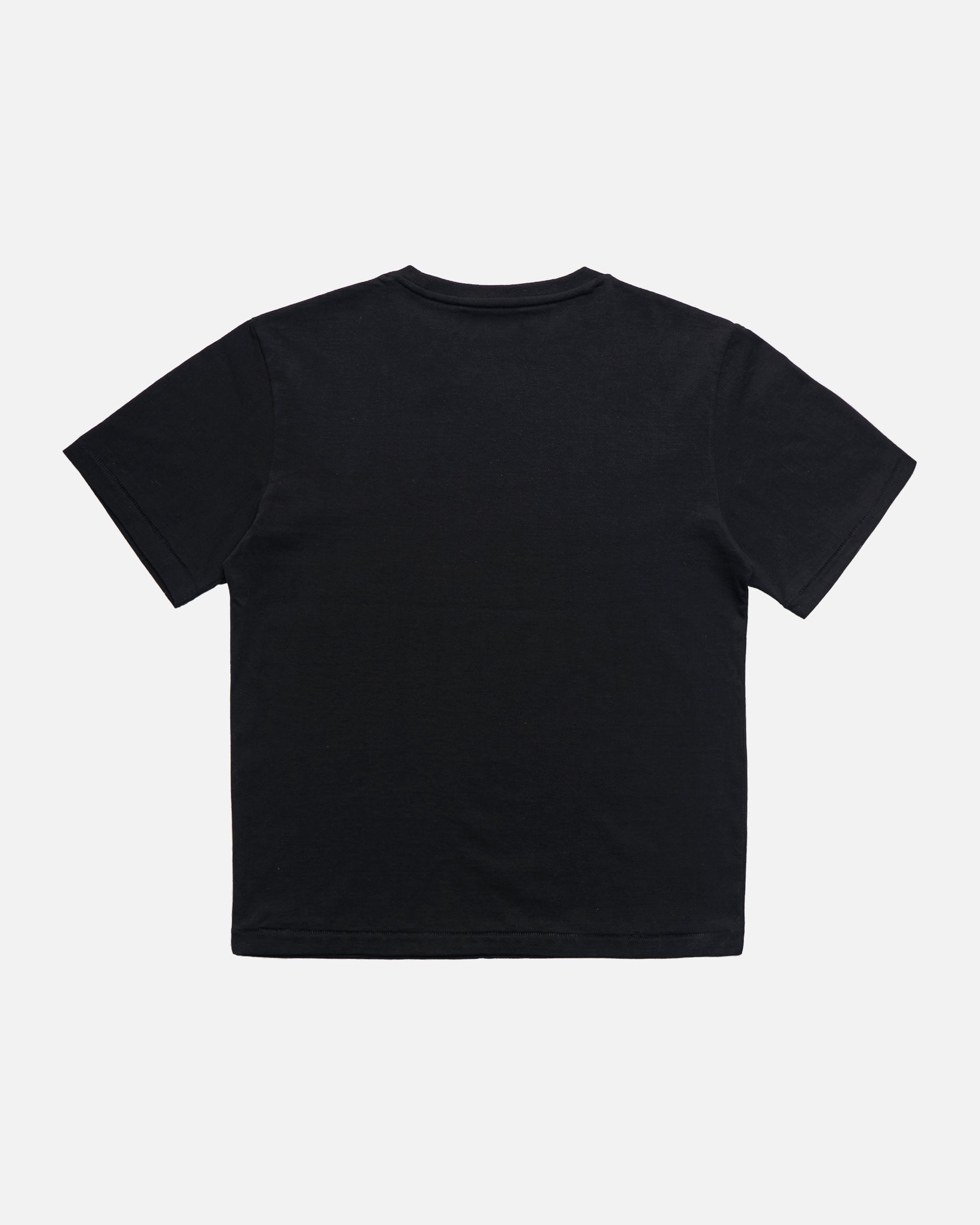 Standard T-Shirt (Pre-order)