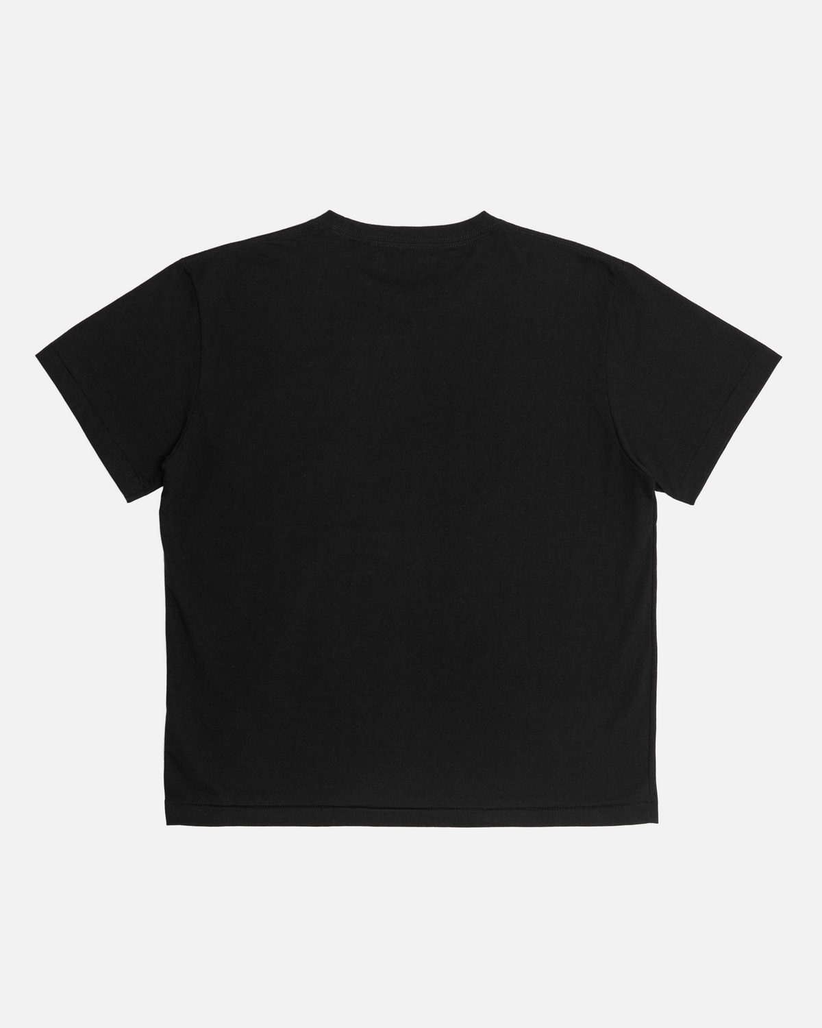 Standard T-Shirt